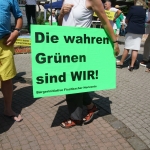 Stephanshausen DEMO Windwahn-20140719DSC08208.jpg
